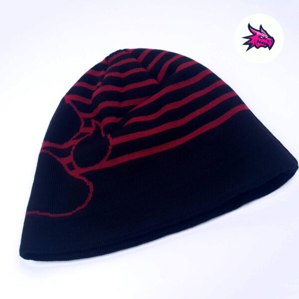winter beanie baddragon design hat